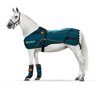 BEMER Horse Set lótakaró - terápia lovaknak
