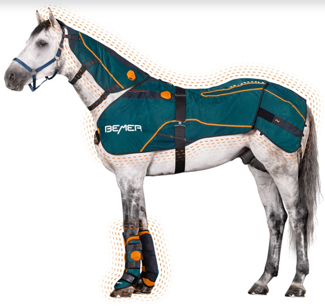 BEMER Horse Set