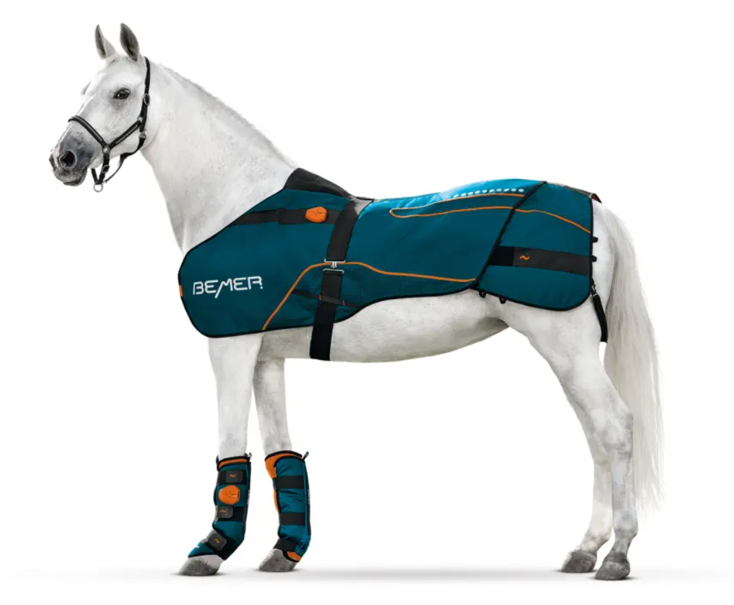 BEMER Horse Set lótakaró és madzsetta | Ára: 4.220 EUR